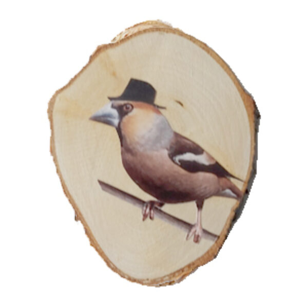 Appelvink